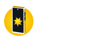 https://aladdin25.com/supportcenter/event_view?id=167&pageNo=1